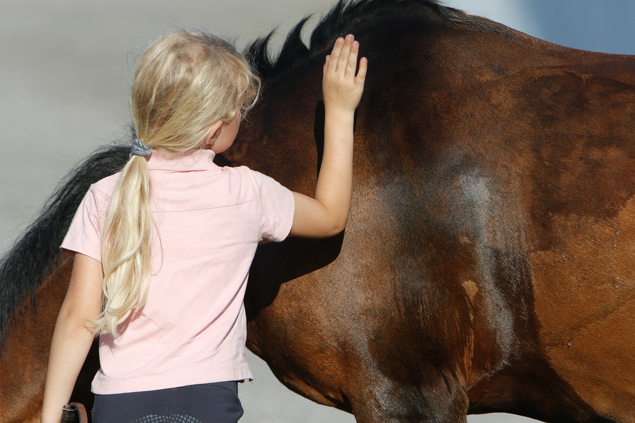 horse rescue equine therapy kids